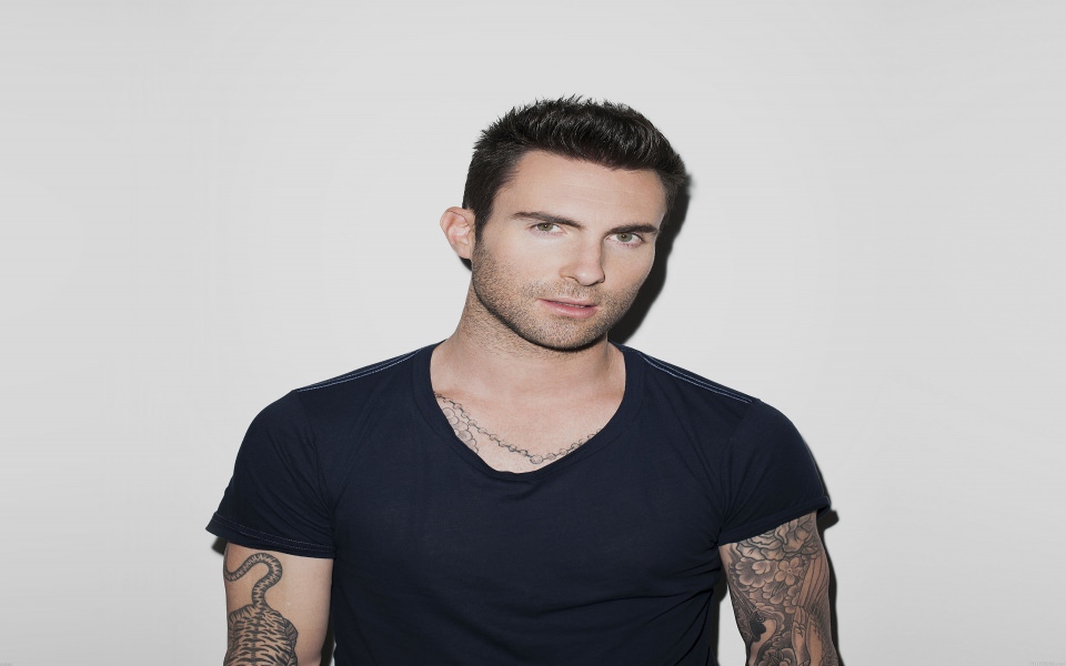 Download Adam Levine Singer wallpaper