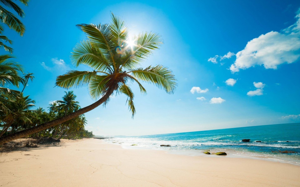 Download Beautiful Sunny Beach wallpaper