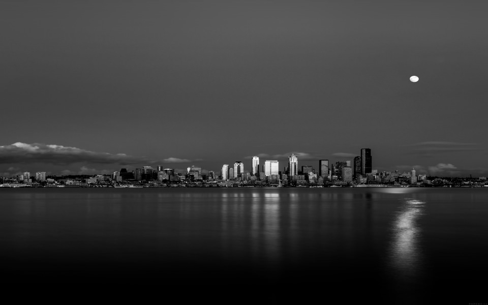 Download Black and White View of Skyline wallpaper