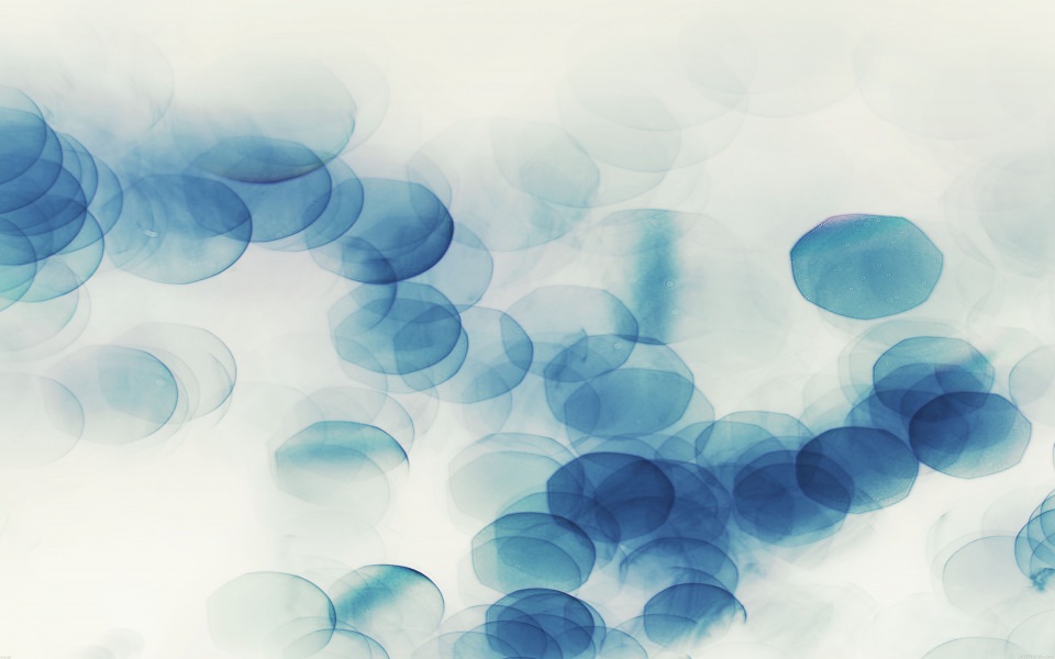Download Blue Bubbles White Background wallpaper