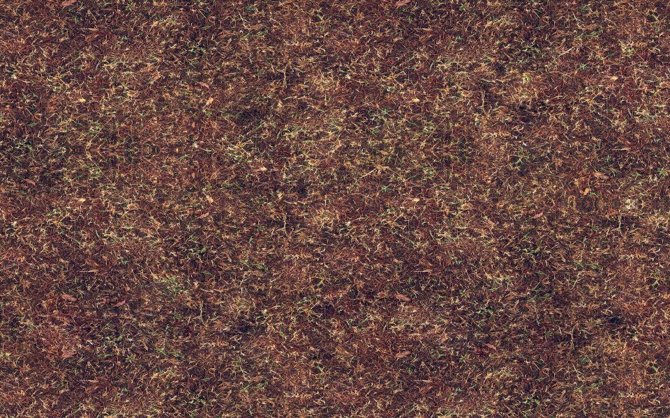 Download Brown Grass Texture Pattern wallpaper