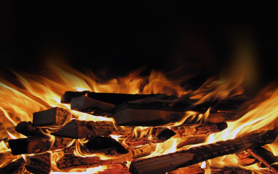 Download Burning Logs On Fire wallpaper