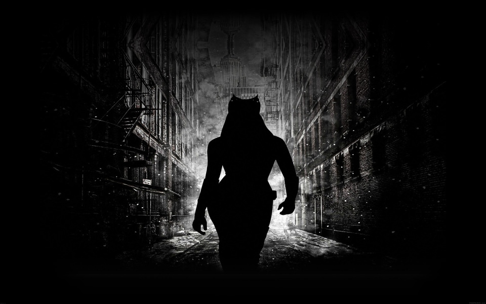 Download Catwoman Walking Dark wallpaper