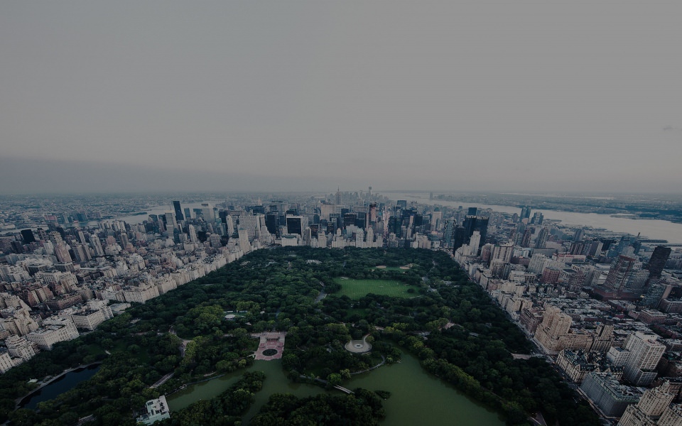 Download Central Park Skyview wallpaper
