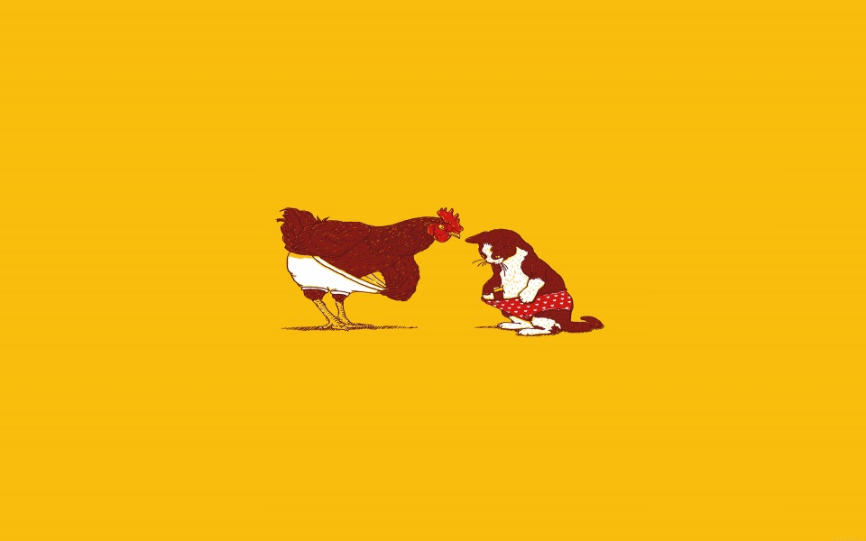 Download Chicken And Cat in Pants Yellow Background wallpaper