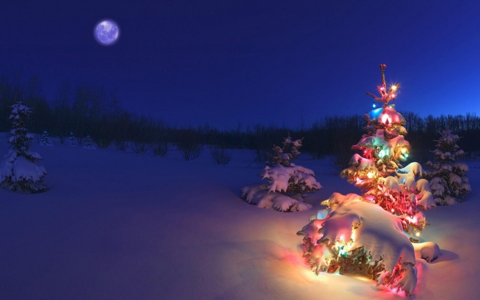 Download Christmas Tree Lights On Snowy Night wallpaper