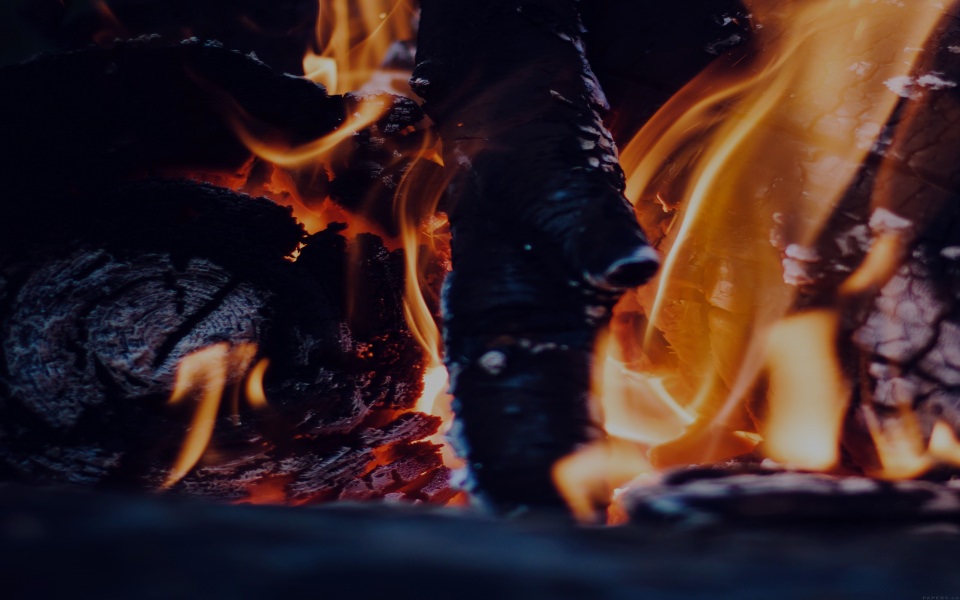 Download Close-Up Burning Fire Wood wallpaper