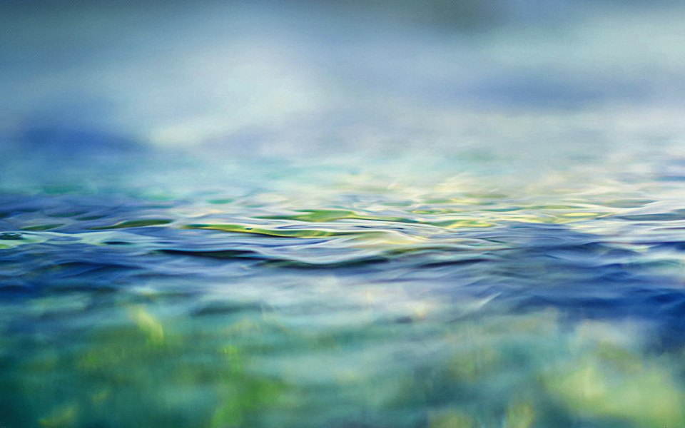Download Close-Up Calm Water wallpaper