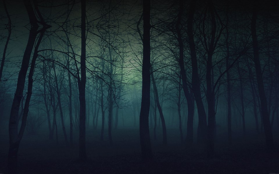 Download Dark Green Horror Woods Wallpaper - GetWalls.io