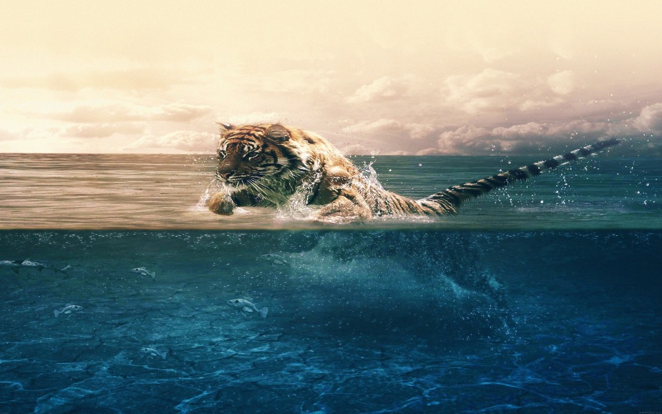 Download Diving Tiger Wallpaper - GetWalls.io