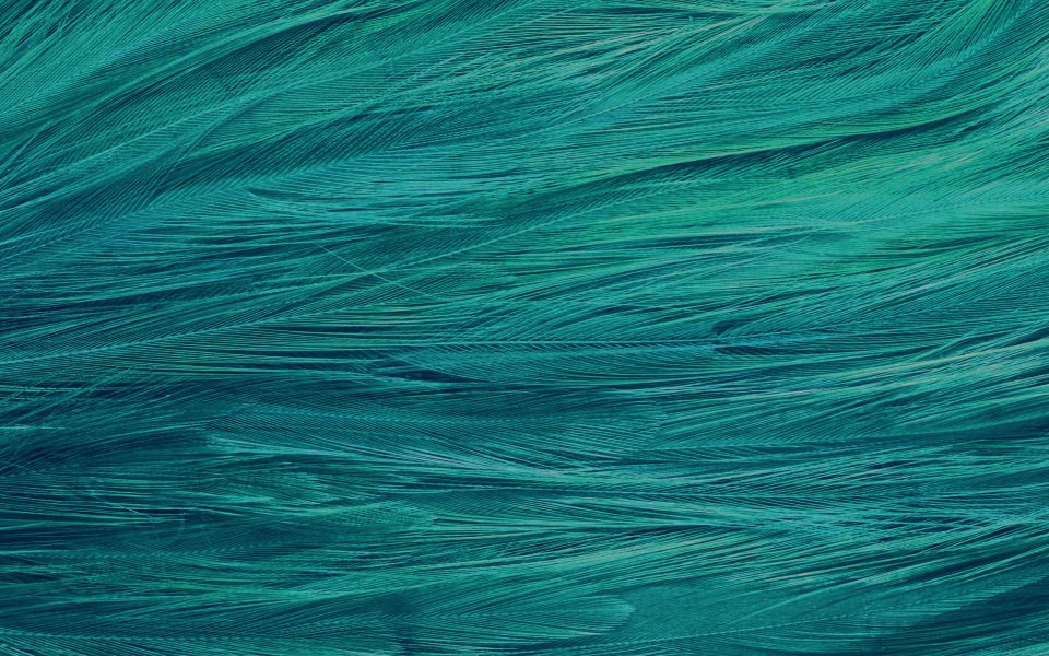 Download Emerald feather Leaves Bird Pattern wallpaper