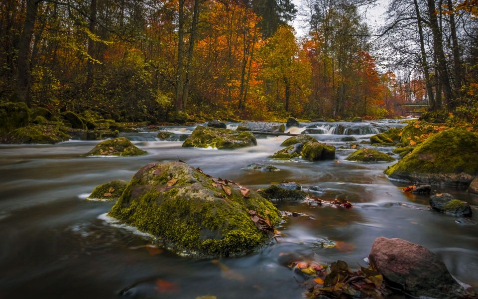 Download Flowing Autumn River wallpaper