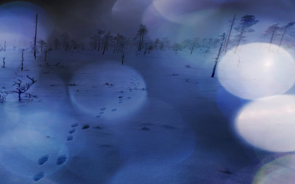 Download Footprints In Deep Snow wallpaper