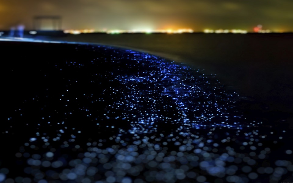 Download Glittering Ocean At Night wallpaper