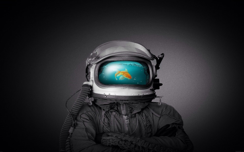 Download Goldfish Space Helment wallpaper