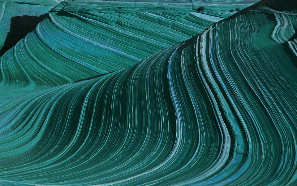 Download Green Wave Pattern wallpaper