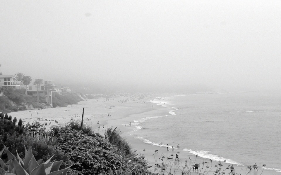 Download Grey Misty Beach wallpaper