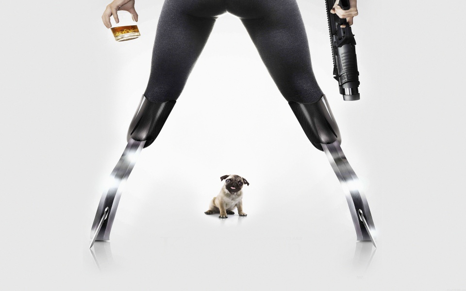 Download Kinsgman Poster Dog Film wallpaper