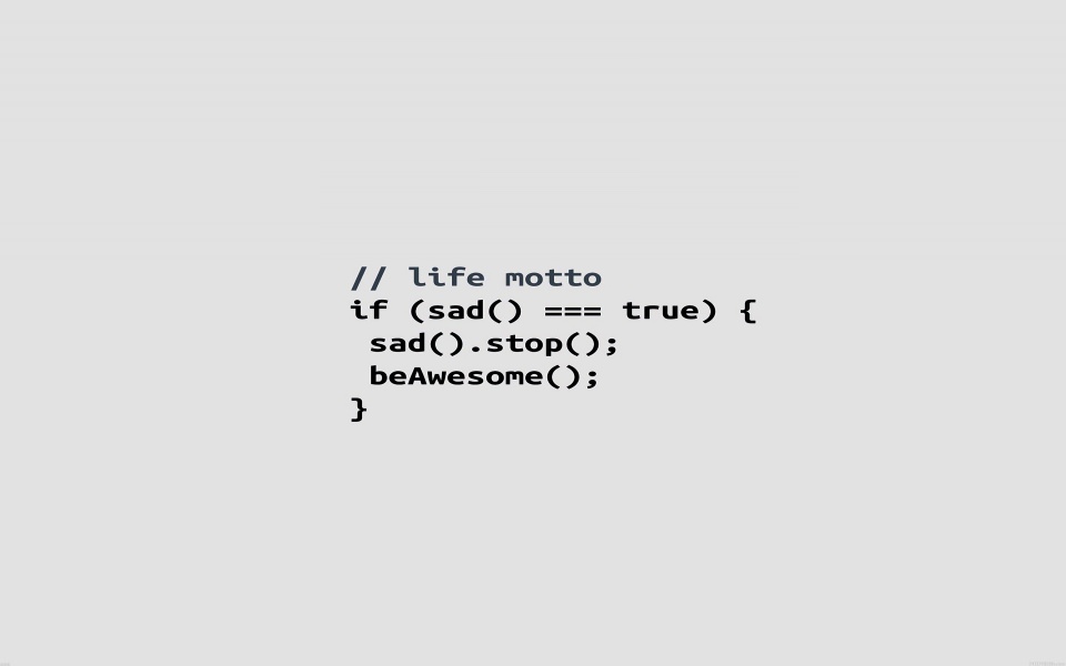 Download Life Programmer Motto wallpaper
