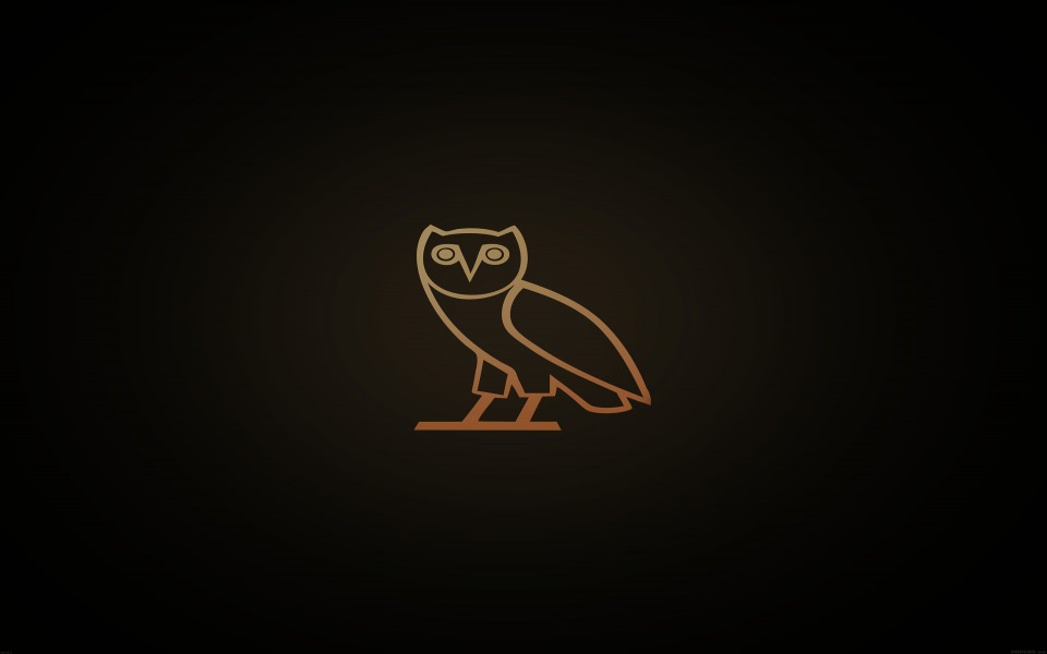 Download Minimal And Simple Owl Outline Logo wallpaper