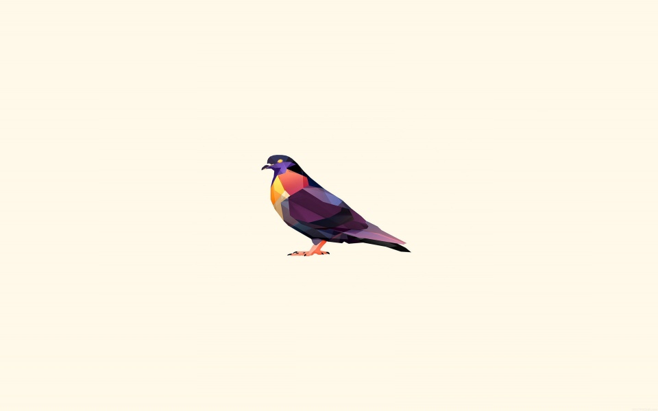 Download Minimal Pigeon Illustration wallpaper