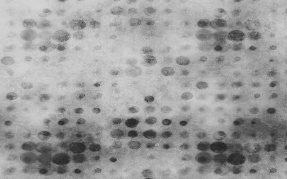 Download Misty Dots wallpaper