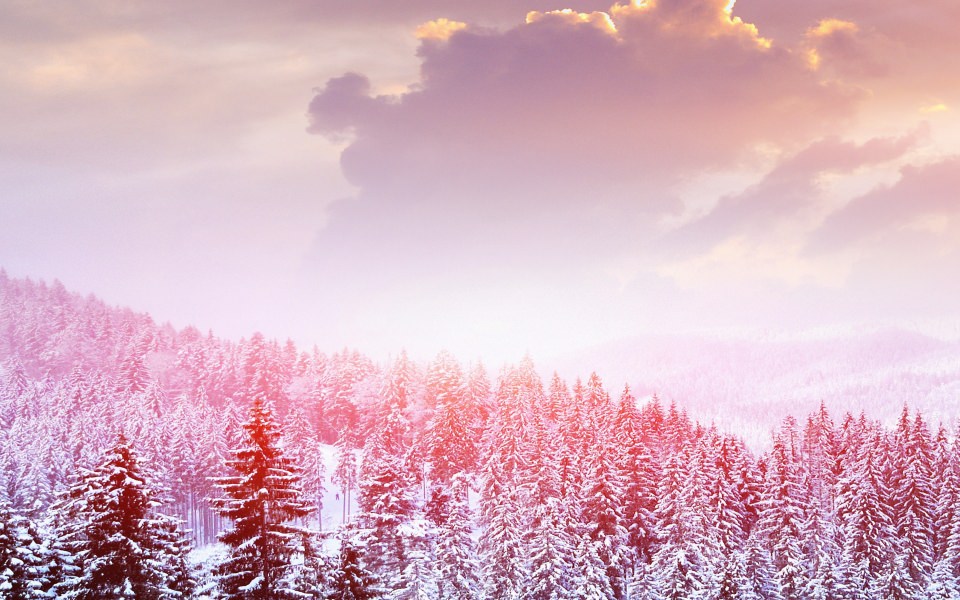 Download Pink Tinted Snowy Tree Tops wallpaper