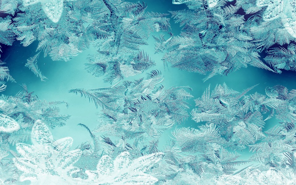 Download Pretty Frozen Ice wallpaper