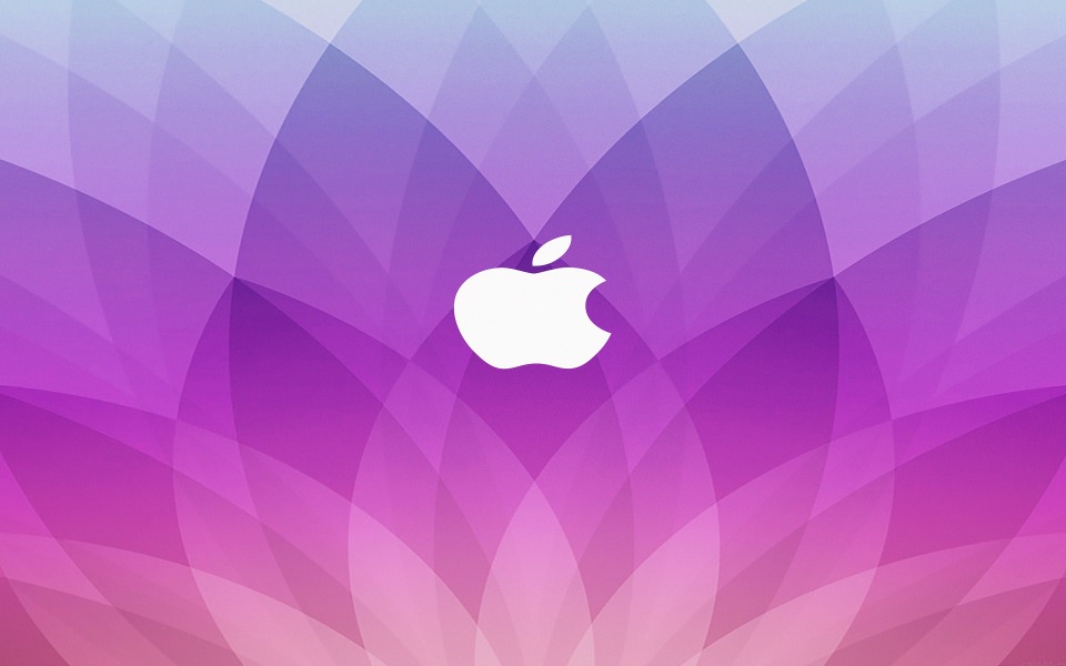 Download Purple Flower Shape Logo wallpaper