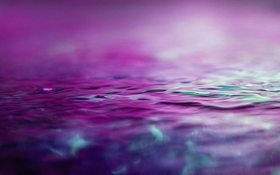 Download Purple Water wallpaper