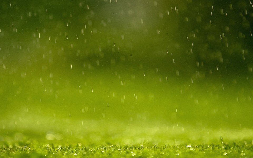 Download Rain Against Grass wallpaper