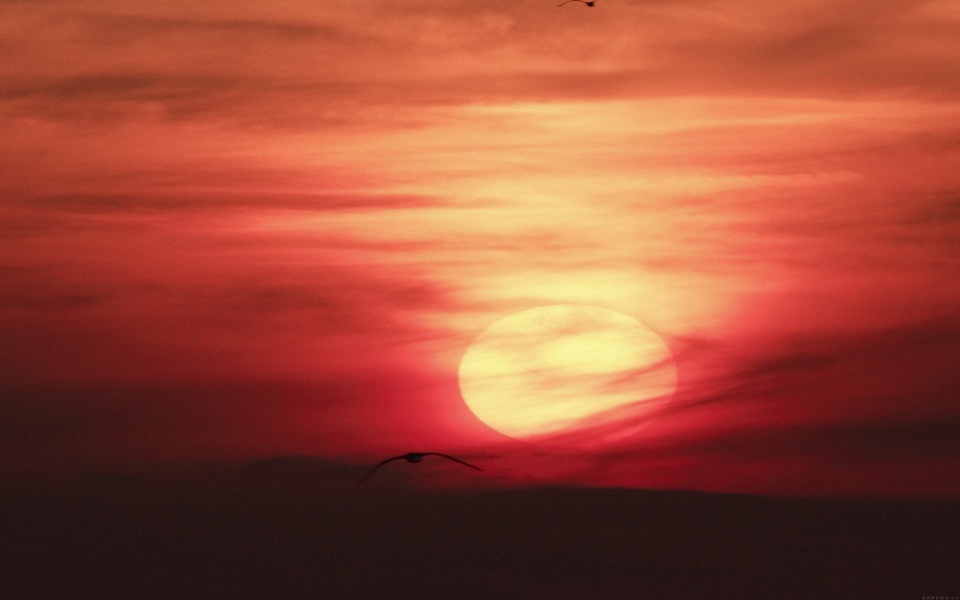 Download Red Cloudy Sky with Bird wallpaper
