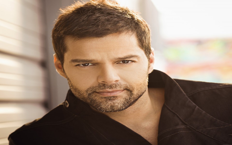 Download Ricky Martin Singer wallpaper