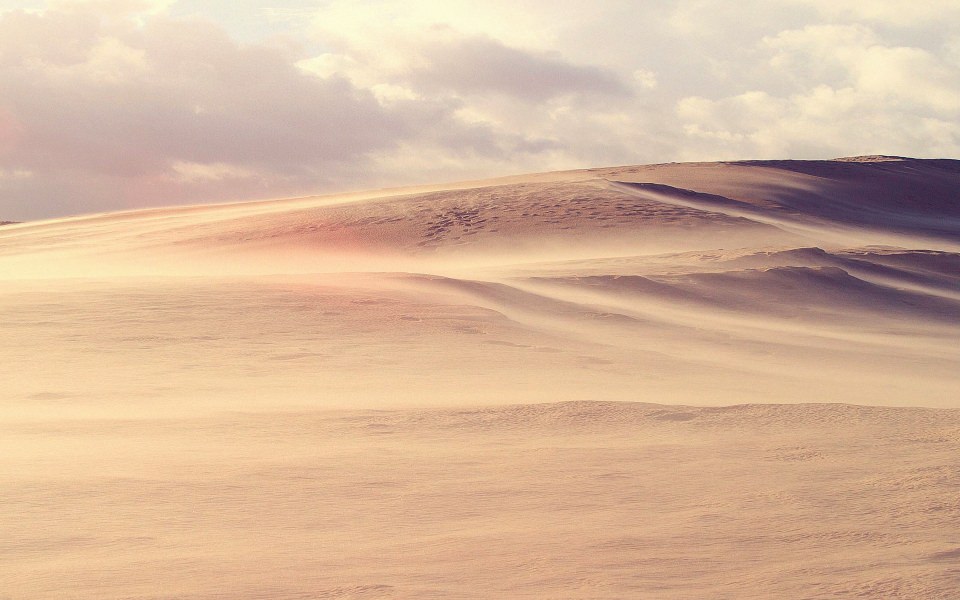 Download Sand Dunes wallpaper