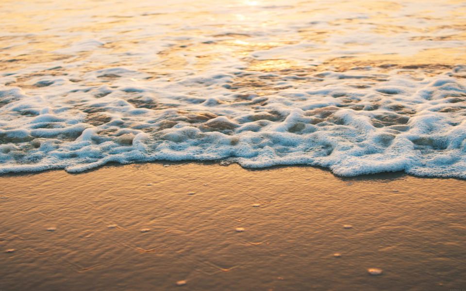 Download Sea Foam Golden Beach wallpaper