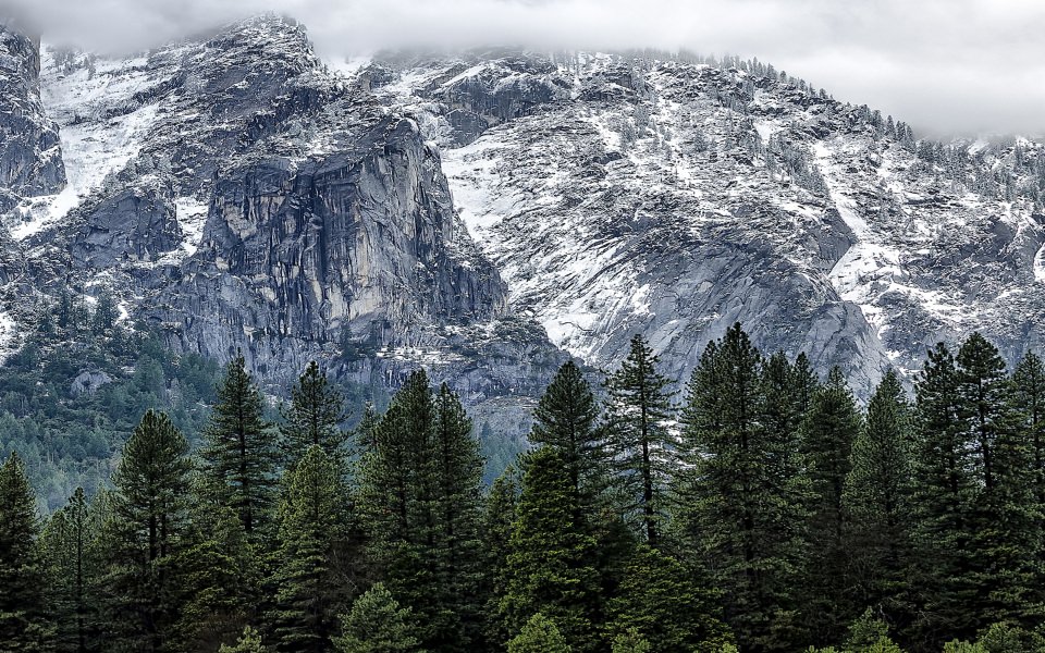 Download Snowy Sprinkled Yosemite wallpaper