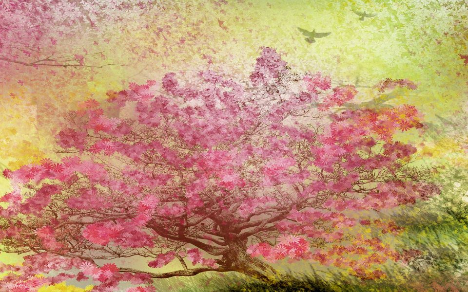 Download Spring Oriental Flowers wallpaper