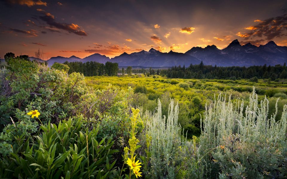 Download Sunset In Grand Teton National Park wallpaper