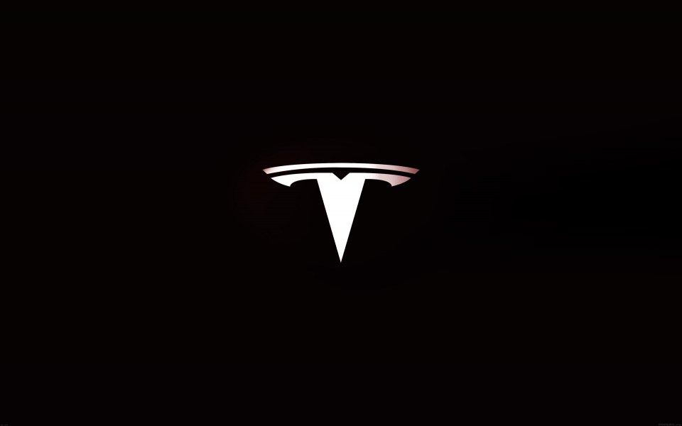Download Tesla Motora Logo wallpaper