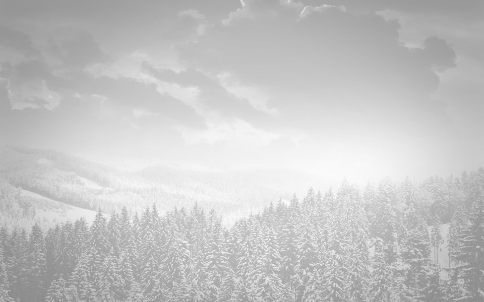 Download White Snowy Misty Forest Mountains wallpaper