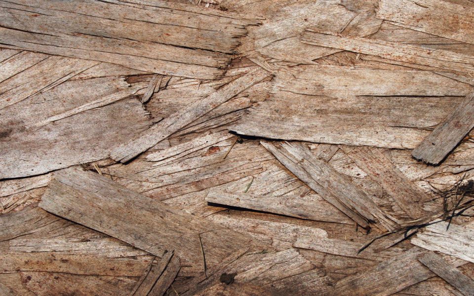 Download Wood Texture Splinters wallpaper