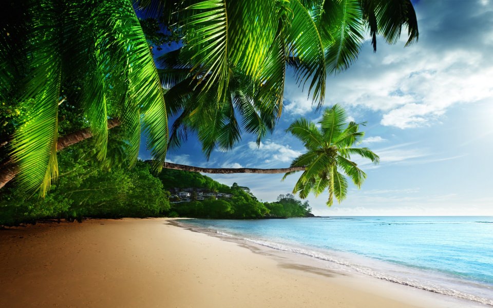 Download Tropical Paradise Beach wallpaper