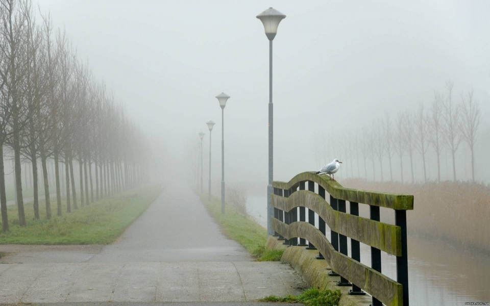 Download Best Fog Photographs wallpaper