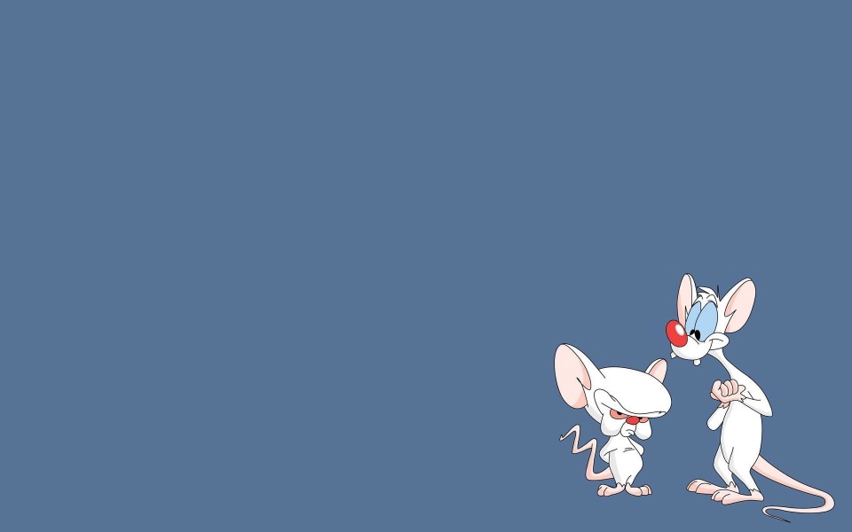 Download Pinky And The Brain Wallpaper wallpaper