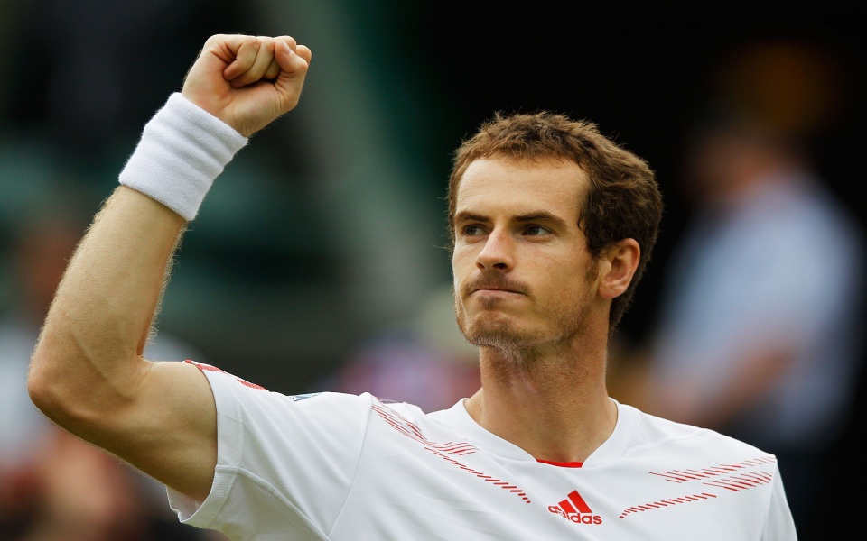 Download Andy Murray Wallpapers wallpaper