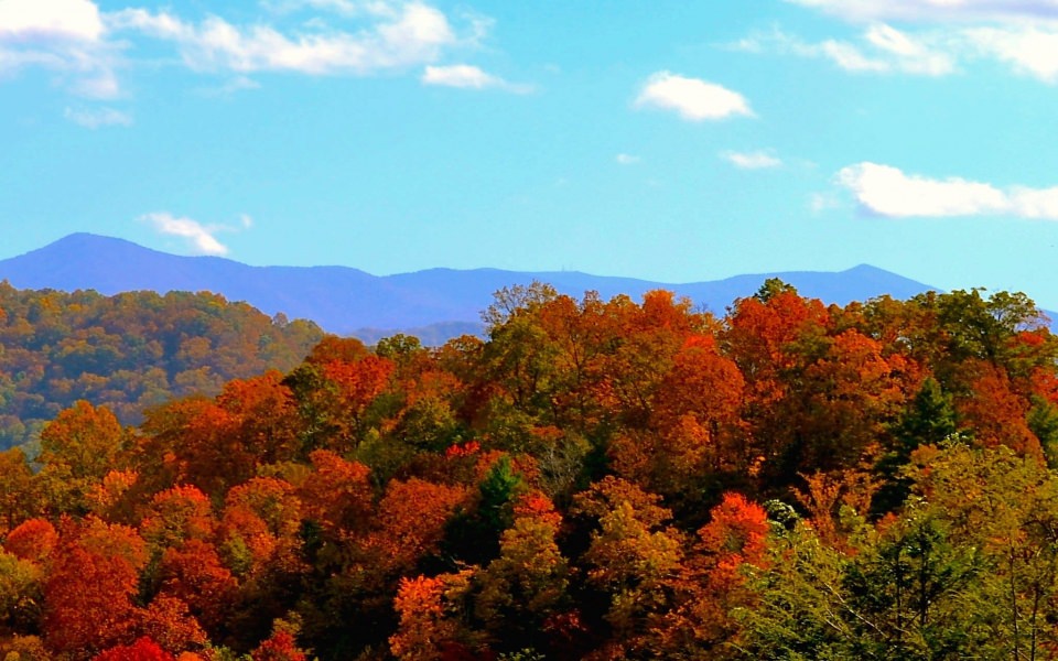 Download Autumn NC Mountains Wallpapers wallpaper