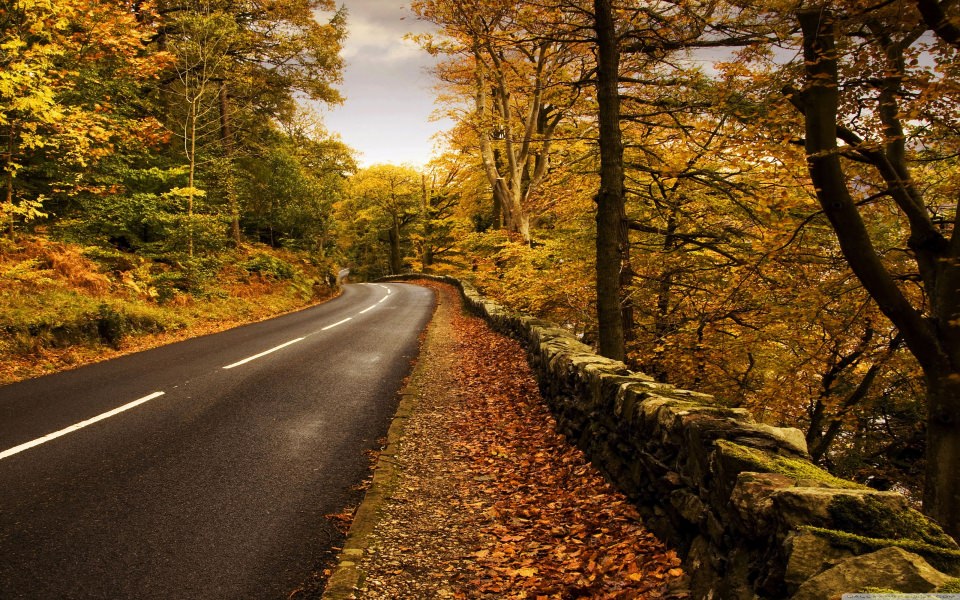 Download Autumn Road 4K wallpaper
