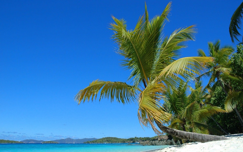 Download Beach Solomon Islands South Pacific wallpaper