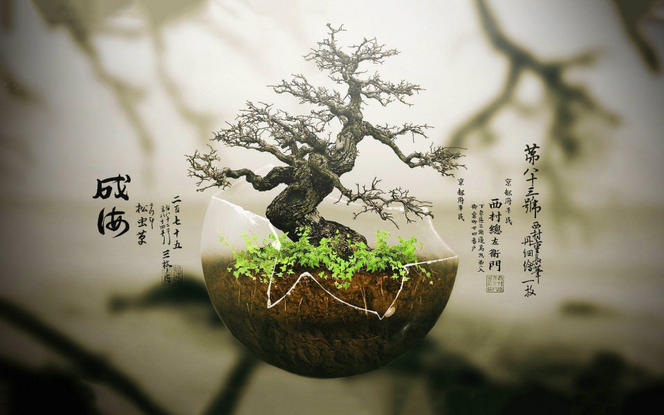 Download Bonsai tree Wallpapers wallpaper