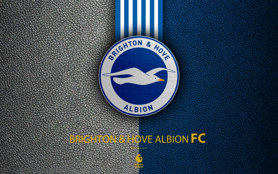 Download Brighton and Hove Albion FC 4k wallpaper